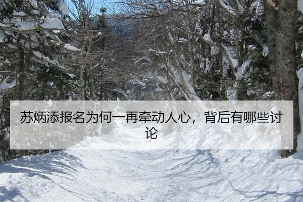 su-bing-tian-bao-ming-wei-he-yi-zai-qian-dong-ren-xin-bei-hou-you-na-xie-tao-lun-2-418.jpg